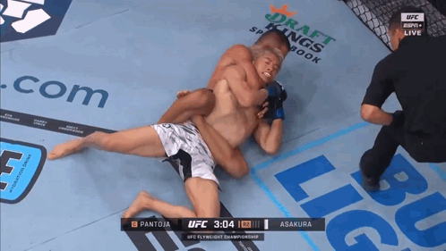 Two Men Wrestling in UFC Ring