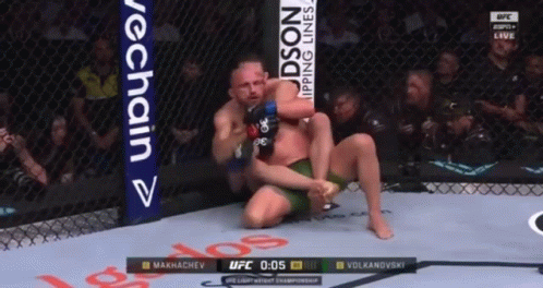 Two Men Wrestling In UFC Ring GIF