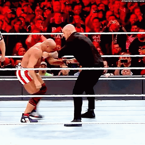 Two Men Wrestling With Referee And Crowd GIF