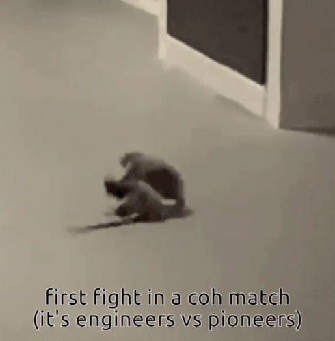 Two Mice Are Standing Next To Each Other With The Caption First Fight In A Coh Match It 'S Engineers Vs Pioneers GIF