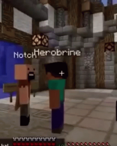 Two Minecraft Characters Standing Together