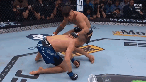 Two Mma Fighters Are Fighting In A Cage And One Of Them Is Wearing Shorts That Say Tony GIF