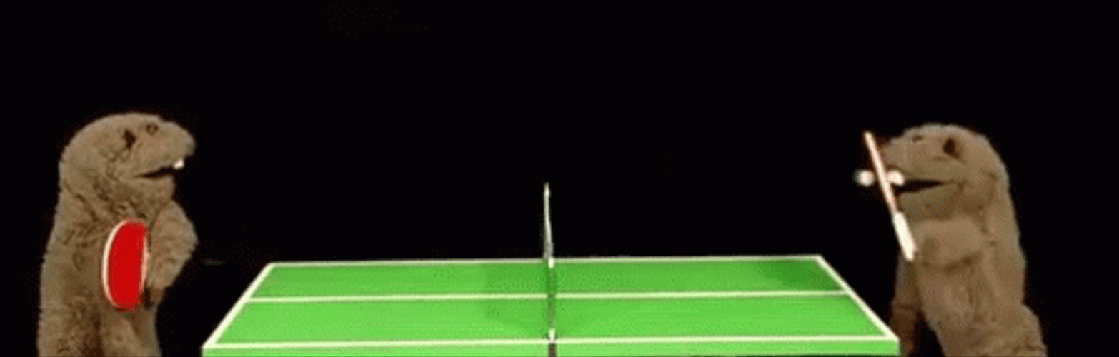 Two Moles Playing Ping Pong GIF