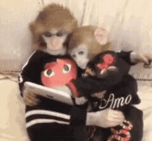 Two Monkeys Are Sitting Next To Each Other On A Couch . One Of The Monkeys Is Holding A Tablet . GIF