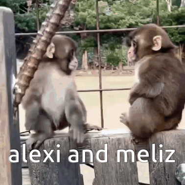 Two Monkeys Are Sitting On A Wooden Fence With The Words Alexi And Meliz Below Them . GIF