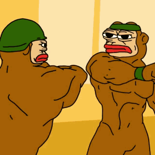 Two Monkeys Fighting One Wearing Green Helmet GIF