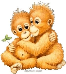 Two Monkeys Hugging Welcome Home