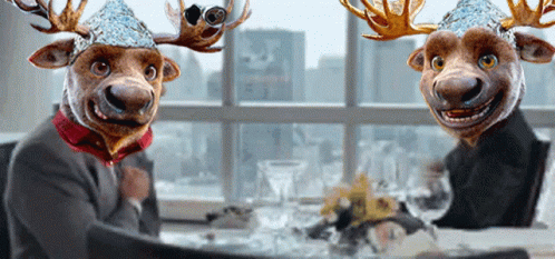 Two Moose Heads Wearing Tin Hat GIF