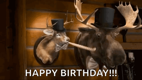 Two Moose Heads Wearing Top Hats And Bow Ties Are On A Wall . GIF