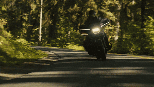 Two Motorcycle Riders on Wooded Road
