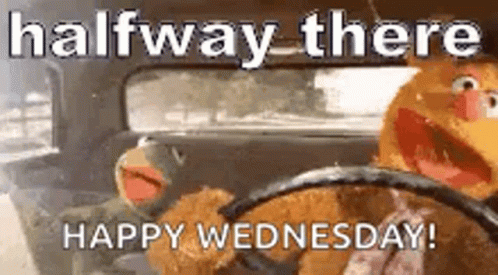 Two Muppets Are Driving A Car With The Words `` Halfway There Happy Wednesday '' . GIF
