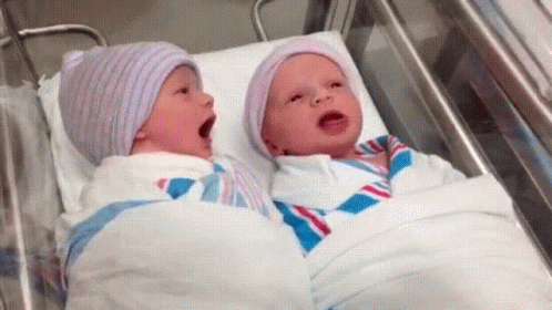Two Newborn Babies Are Laying In A Hospital Crib . GIF