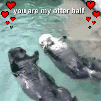 Two Otters in Water Saying You Are My Otter Half