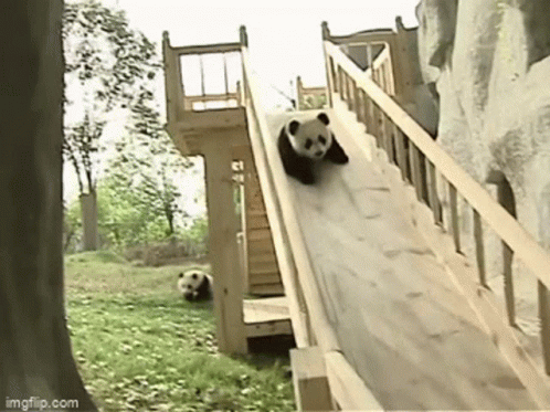 Two Panda Bears Playing On Wooden Slide GIF