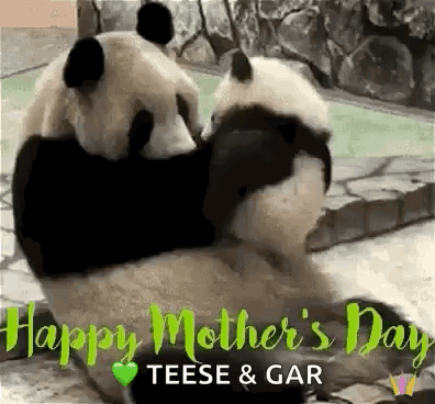 Two Pandas Hugging On Mother's Day GIF