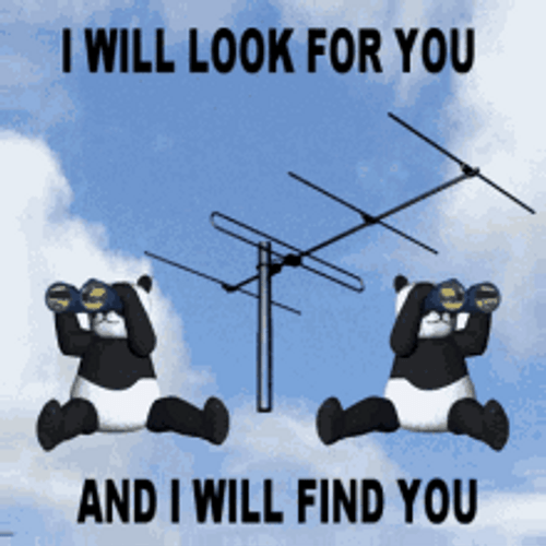 Two Pandas Use Binoculars To Search GIF
