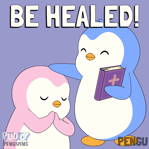 Two Penguins Be Healed GIF