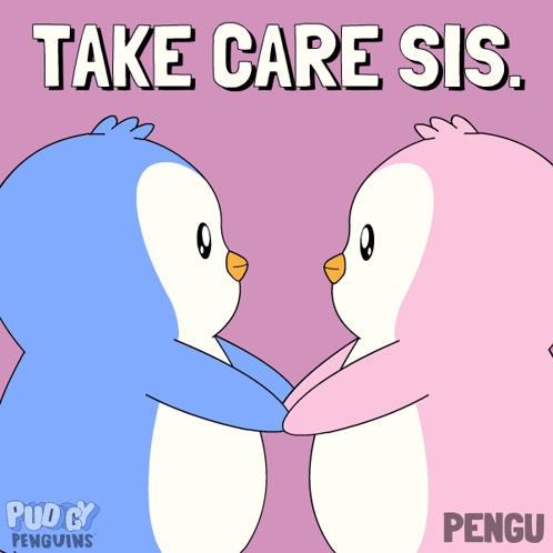 Two Penguins Hugging Take Care Sis