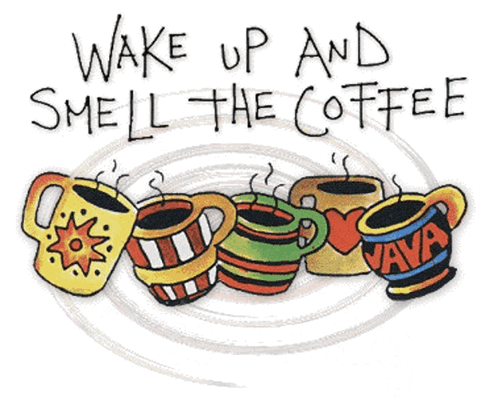 Two Penguins Kissing Wake Up Mi Amor GIF