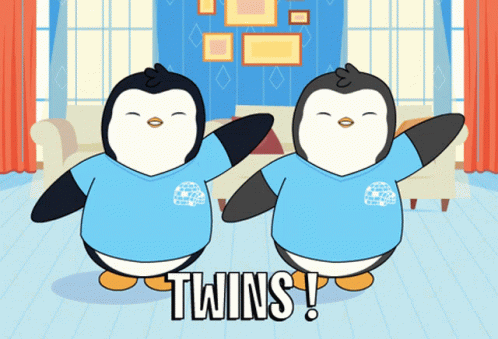 Two Penguins Saying Twins