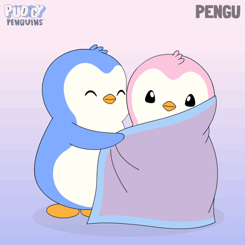 Two Penguins Wrapped In Blanket Pengu GIF
