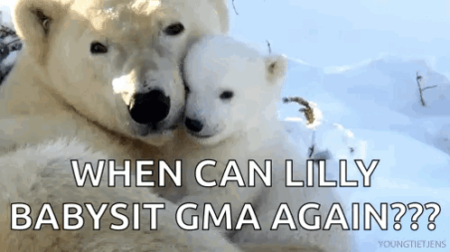 Two Polar Bears Hugging Each Other In The Snow With The Caption " When Can Lilly Babysit Gma Again ? " GIF