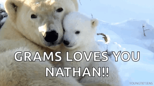 Two Polar Bears Hugging Each Other With The Words " Grams Loves You Nathan " Below Them GIF