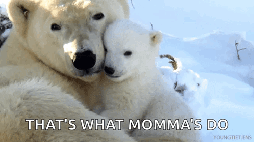 Two Polar Bears Hugging Each Other With The Words That 'S What Momma 'S Do Below Them GIF
