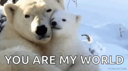 Two Polar Bears Hugging In Snow You Are My World GIF