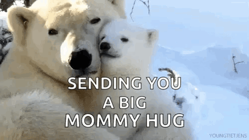 Two Polar Bears Hugging Saying Big Mommy Hug GIF