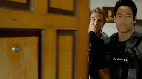 Two Police Officers Are Standing Next To Each Other In Front Of A Wooden Door . GIF