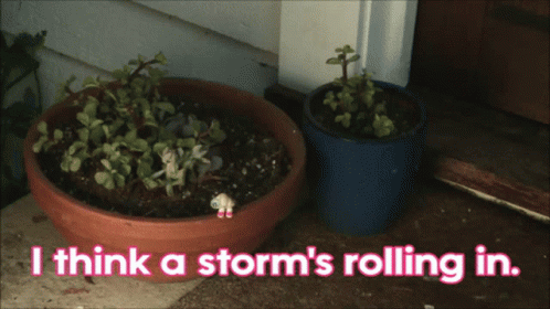 Two Potted Plants With The Words I Think A Storm 'S Rolling In Below Them GIF