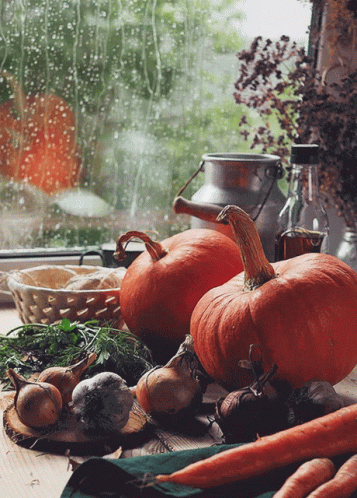 Two Pumpkins Sit On A Table In Front Of A Window With Raindrops On It GIF