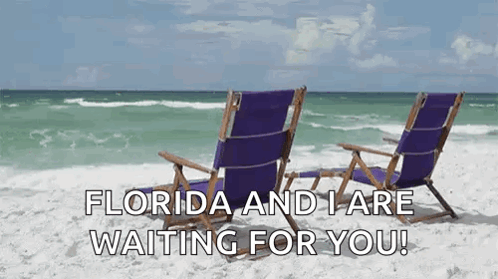 Two Purple Beach Chairs Saying Florida and I Are Waiting for You