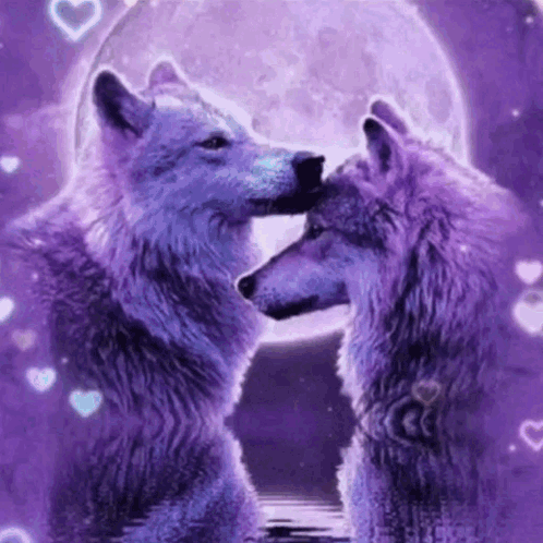 Two Purple Wolves Kissing Under Full Moon GIF