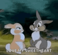 Two Rabbits Are Sitting Next To Each Other In A Field And Talking . GIF