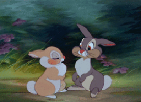 Two Rabbits Are Sitting Next To Each Other In A Field GIF
