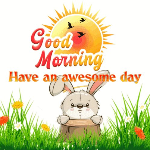 Two Rabbits Good Morning Have An Awesome Day GIF