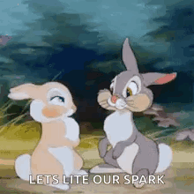 Two Rabbits Sitting In Field GIF