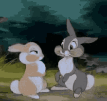 Two Rabbits Sitting on Grass