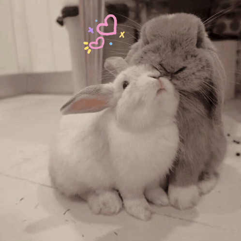 Two Rabbits Sitting Together With Pink Hearts