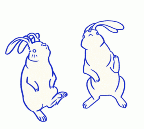 Two Rabbits Standing On Hind Legs GIF