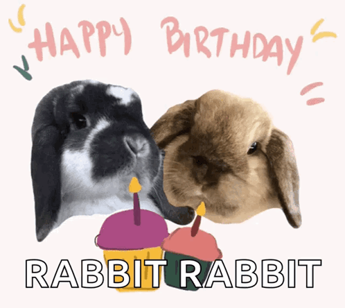 Two Rabbits With Candles Happy Birthday GIF