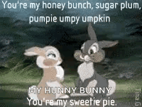 Two Rabbits You're My Honey Bunch