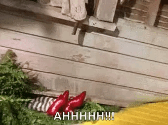Two Red Peppers On Greenery GIF