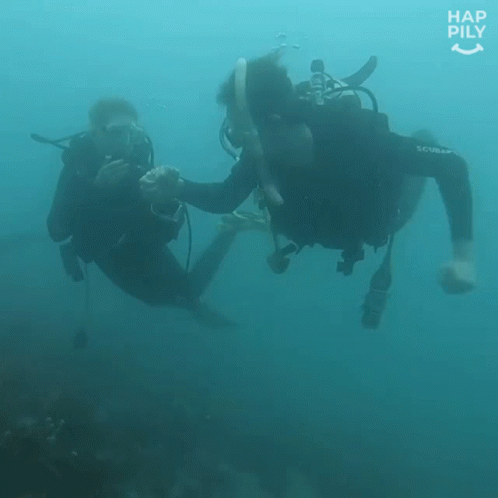 Two Scuba Divers Are Swimming In The Ocean And The Words Hap Pily Are Visible GIF