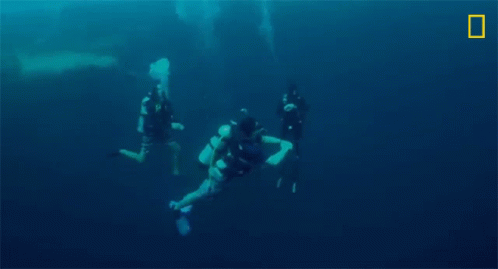 Two Scuba Divers Are Swimming In The Ocean With A National Geographic Logo In The Background . GIF
