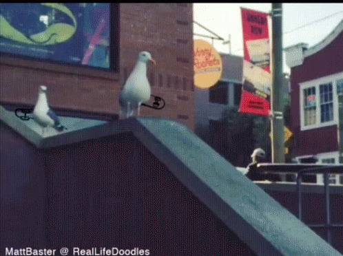 Two Seagulls Are Standing On A Ledge In Front Of A Building With A Banner That Says Hungry Buffet GIF