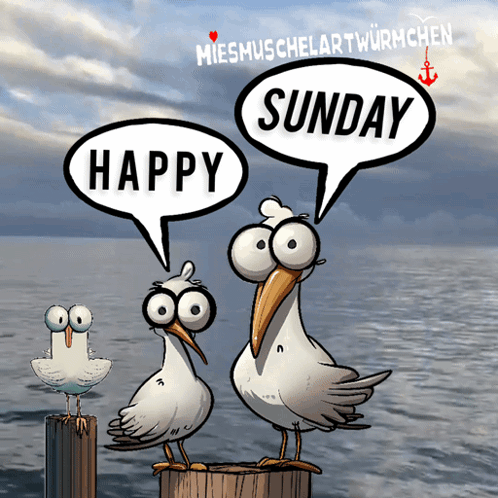 Two Seagulls on a Dock Saying Happy Sunday