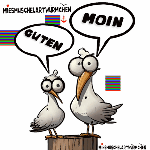 Two Seagulls Saying Moin and Guten
